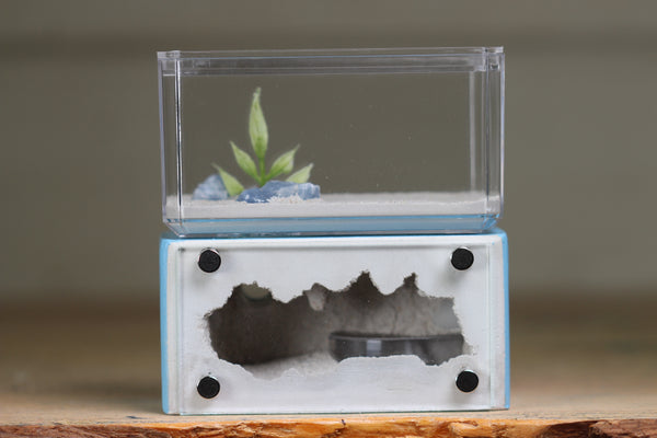 Mini Hearth (Light Blue 1621)