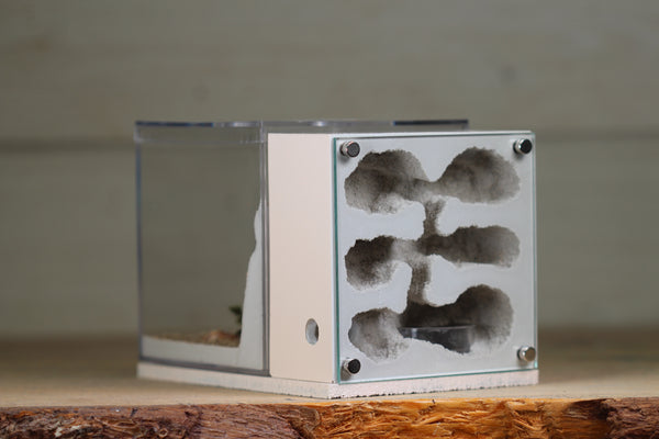 Fortress (Bone 3104)