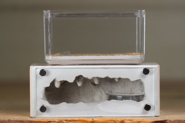 Mini Hearth XL (Bone 4104)