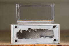 Mini Hearth XL (Bone 4104)