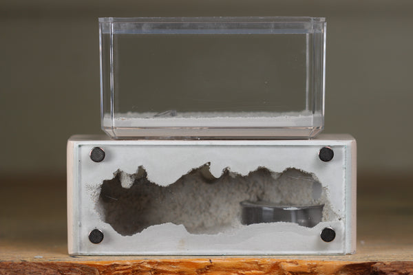 Mini Hearth XL (Bone 4105)