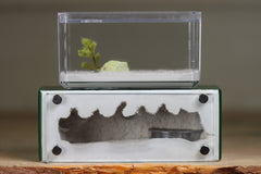 Mini Hearth XL (Dark Green 4117)