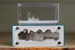 Mini Hearth XL (Aqua Blue 4119)