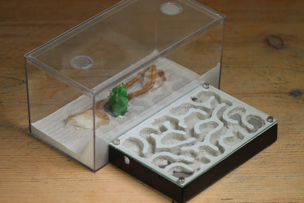 Mini Labyrinth (Black 151)