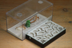 Mini Labyrinth (Black 151)