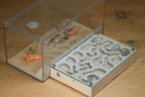 Mini Labyrinth (Bone 155)