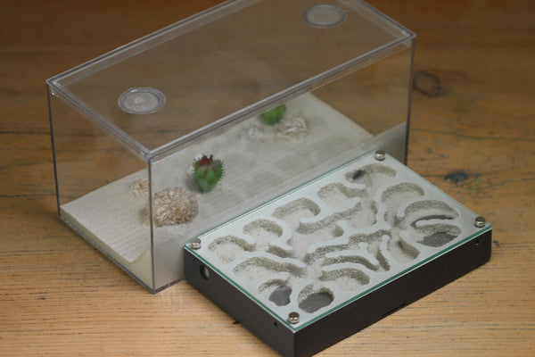 Mini Labyrinth (Grey 157)