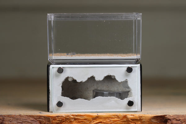 Mini Hearth (Black 1652)