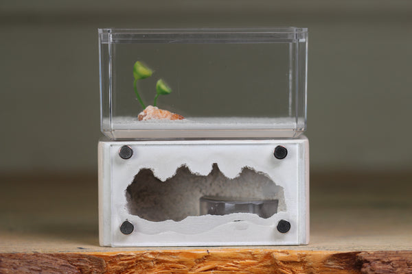 Mini Hearth (Bone 1660)