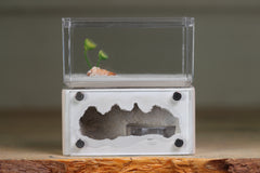Mini Hearth (Bone 1660)