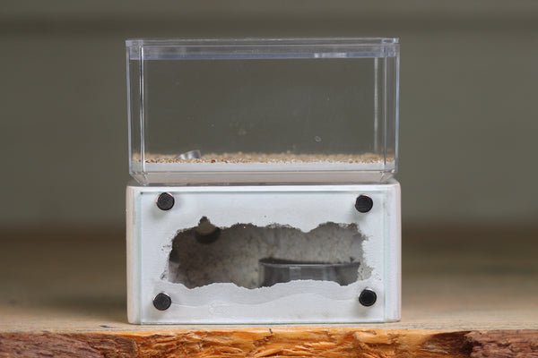 Mini Hearth (Bone 1661)
