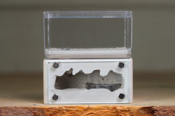 Mini Hearth (Bone 1662)