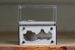 Mini Hearth (Grey 1656)
