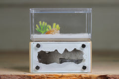 Mini Hearth (Beige 1670)