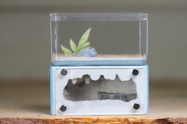 Mini Hearth (Light Blue 1673)