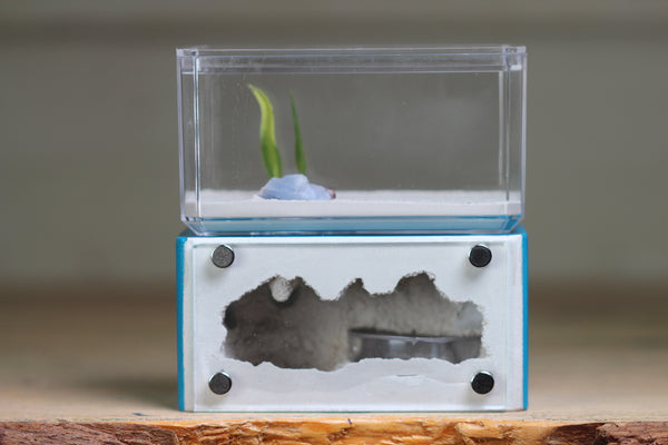 Mini Hearth (Aqua Blue 1675)