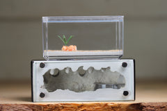Mini Hearth XL (Black 4150)(GLOW)