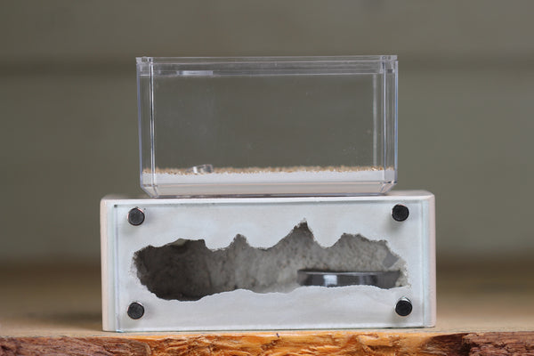 Mini Hearth XL (Bone 4160)