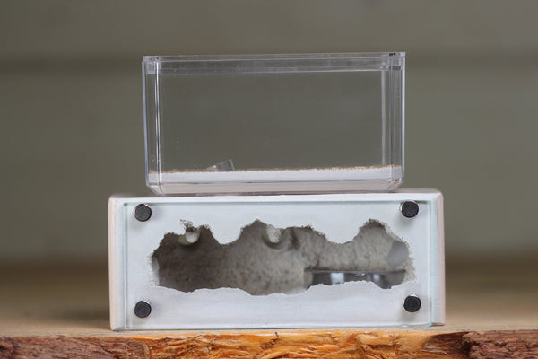 Mini Hearth XL (Bone 4162)