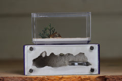 Mini Hearth XL (Purple 4173)