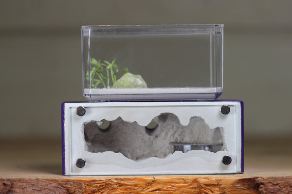 Mini Hearth XL (Purple 4174)(GLOW)