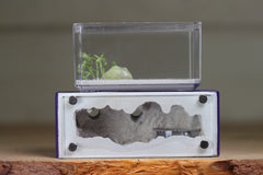 Mini Hearth XL (Purple 4174)(GLOW)