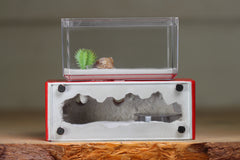 Mini Hearth XL (Red 4179)(GLOW)