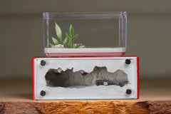 Mini Hearth XL (Red 4180)