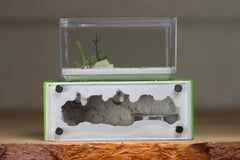 Mini Hearth XL (Lime 4182)