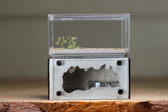 Mini Hearth (Black 1700)