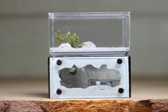 Mini Hearth (Black 1703)(GLOW)