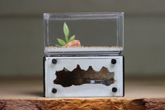 Mini Hearth (Black 1707)