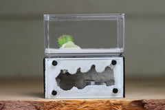 Mini Hearth (Black 1708)