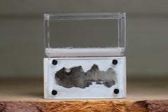 Mini Hearth (Bone 1711)