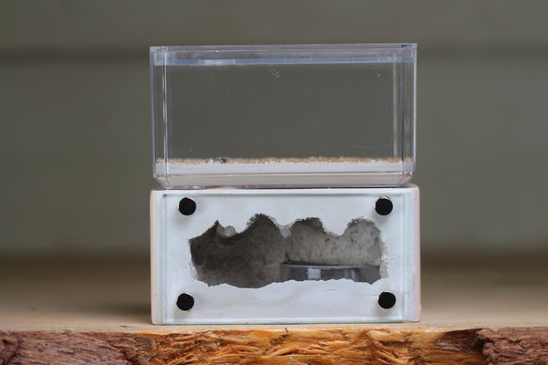 Mini Hearth (Bone 1712)