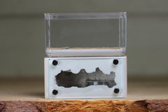 Mini Hearth (Bone 1713)