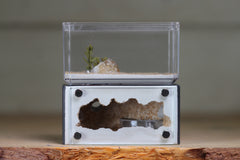 Mini Hearth (Grey 1714)