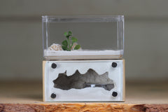 Mini Hearth (Beige 1719)