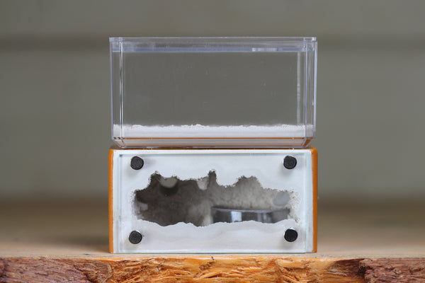 Mini Hearth (Terra 1723)