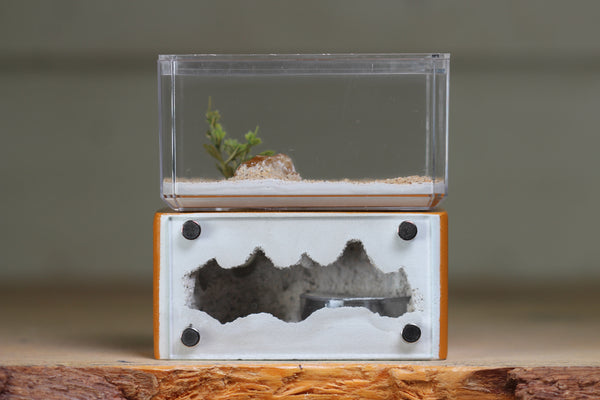 Mini Hearth (Terra 1724)