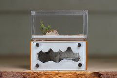 Mini Hearth (Terra 1724)