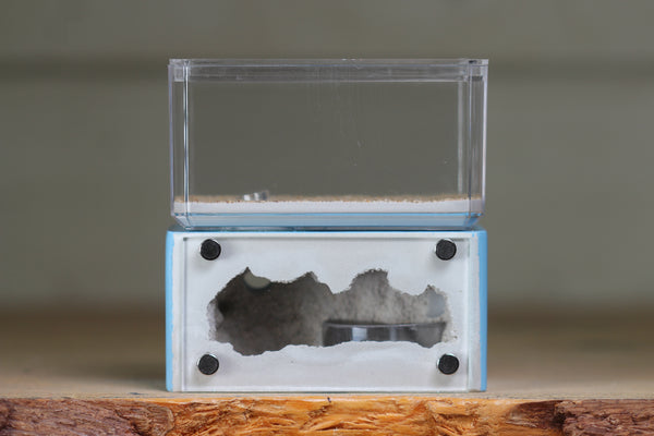 Mini Hearth (Light Blue 1726)