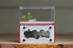 Mini Hearth (Red 1729)