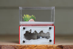 Mini Hearth (Red 1730)