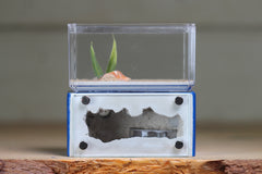 Mini Hearth (Dark Blue 1731)