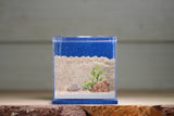 Fortress (Dark Blue 3141)