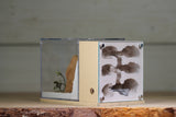 Fortress (Beige 3142)