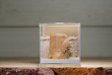 Fortress (Beige 3142)