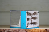Fortress (Light Blue 3143)