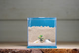 Fortress (Light Blue 3143)